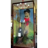 Taxidermy - a Victorian fox dressed as a waiter with bottle of champagne and in original glass case.