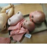 A quantity of doll parts including A M porcelain head and one other porcelain head.
