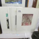 3 Henry Moore shelter sketch prints circa 1940, 2 Elisabeth Frink prints circa 1975,