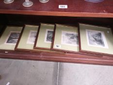 5 framged and glazed engravings of Lincoln Cathedral