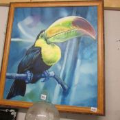 A large picture of a toucan.