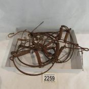 A quantity of vintage wire traps.