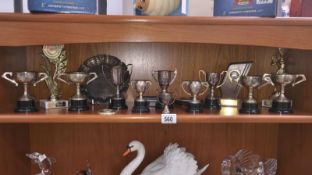 A quantity of assorted sporting trophies