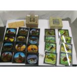 2 sets of coloured magic lantern slides being Natural History Series and Reptiles etc.