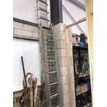 A quantity of ladders
