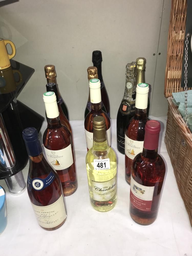 12 bottles of wine including Chardolini & Grenech Rose