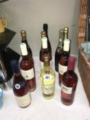 12 bottles of wine including Chardolini & Grenech Rose