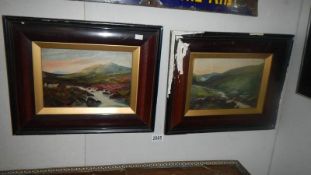 A pair of oils on board.