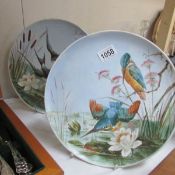 A pair of bird decorated cabinet plates.