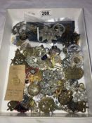 A quantity of cap badges including WW1 AND WWII