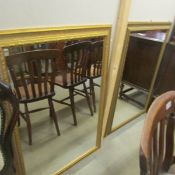 2 gilt framed mirrors.