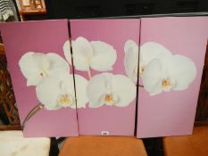 A set of 3 flower prints on canvas