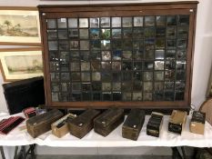 A collection of glass slides and slides display cabinet