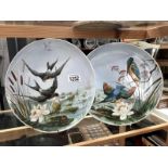 2 early 20th Century hand painted plates of birds signed but indistinct