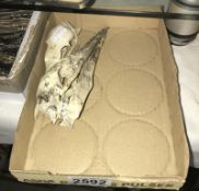 Two Sea bird Skulls: A complete preserved Cormorant Skull Phalacrocoracidae carbo and a complete