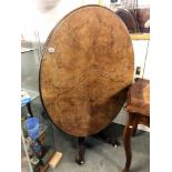 A good Victorian oval centre pedestal walnut tip top table