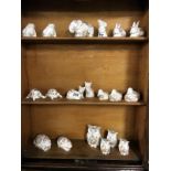 A quantity of Aynsley animal trinket boxes (with lids)