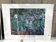 A Van Gogh Les Iris print