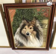 An Irene Madoff (20th Century) framed oil on canvas portrait of 'Lassie' sheep dog signed and dated