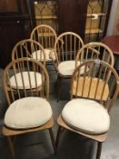 A set of 6 light wood Ercol dining chairs consisting of 2 carvers and 4 chairs A/F