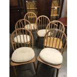 A set of 6 light wood Ercol dining chairs consisting of 2 carvers and 4 chairs A/F