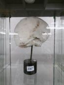 A 19th century 'Brain' coral on stand.