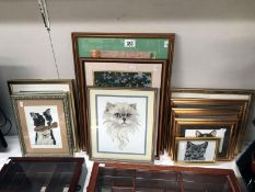 A quantity of framed and glazed embroideries of cats and dogs