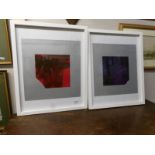 A pair of framed and glazed 'artist proofs' "Physust Luminosity" and "The Harmivation of