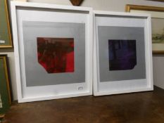 A pair of framed and glazed 'artist proofs' "Physust Luminosity" and "The Harmivation of