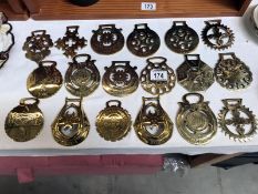 18 modern horse brasses