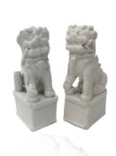 A small pair of 19th century Chinese blanc de chine dogs of Foo, a/f.