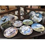 A collection of 12 boned collectors plates and 1 Aynsley plate