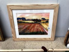 A Sheila Parkinson 'Pink and yellow fields' framed and glazed picture