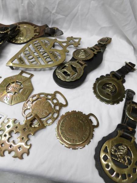 15 horse brasses including some on leathers and a brass trivet. - Image 3 of 3
