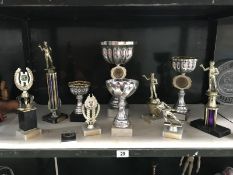 A quantity of 1990's sports trophies