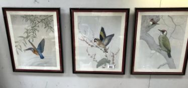 3 framed and glazed bird prints