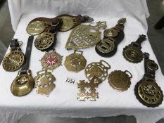 15 horse brasses including some on leathers and a brass trivet.