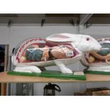 A model of a rabbit with open front showing internal organs.