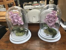 2 glass domes containing artificial flowers