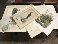 A collection of etchings and prints, botanical, political, birds etc.