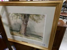 A framed and glazed circle of Peter De Wint (1784-1849) watercolour of an oak tree in landscape,