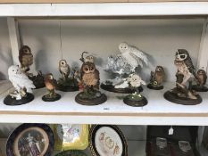 10 country artists owl figurines including CA 398 little owl, 01119 snowy owl with chicks,