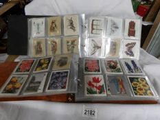 2 albums containing approximately 800 large cigarette cards (from packs of 20/25) mainly Players