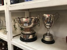 2 trophies being sentinal works horticultural society 'The Newbold Cup' and 'The Cardeston Cup'