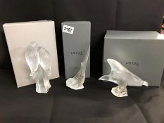 3 boxed Lalique frosted glass animals being a parrot with head down, an eagle and 2 parrots.