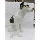 A pottery 'HMV' Jack Russell dog.