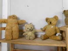 3 vintage Teddy bears.