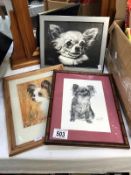 3 framed and glazed pictures of dogs