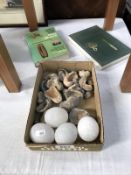 A mixed lot of shells, eggs and 2 books.