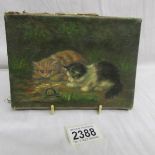 A late 19th / early 20th century oil painted of Kittens and snail,